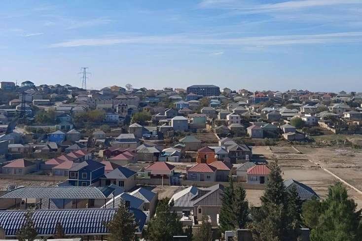 Havalar isindikcə üzə çıxırlar, Bakıda da yayılıb - Ekspert çarəni açıqladı