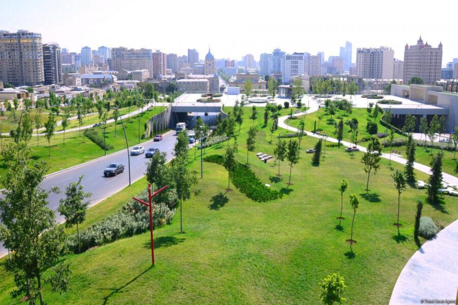 Azərbaycanda “uçan pələnglər” yayıla bilər – Əhali narahatdır