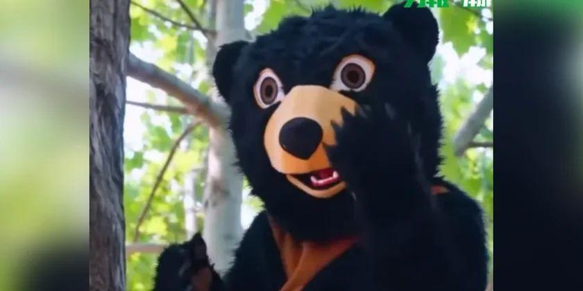 Çin zooparkında maraqlı iş təklifi: 15 min dollar maaş